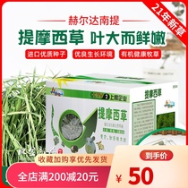 21 Years Timothy Herdananti Fat Golden Dragon Cat Pasture Dutch Pig Rabbit Hay Supplies 1kg