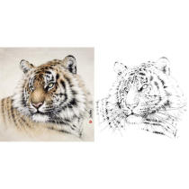 Gongbi white drawing manuscript physical hook printed manuscript 66*66 bucket Wang Aimin tiger color map -003H