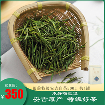Authentic 2021 new tea Anji white tea bulk Authentic before the rain premium alpine rare green tea 500g iron cans