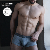 cin2 Flat Corner White Underpants Male Rings Low Waist Sport Gay Pure Cotton Sexy C-IN2 Mens Four Corners Thin shorts