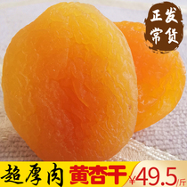 Xinjiang specialty unadded natural yellow Apricot Dried Turkish apricot tree seedless apricot apricot 500g