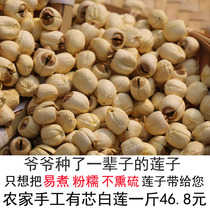 Fresh core grade white lotus seed dry goods Guangchang farmhouse handmade lotus seed lotus rice powder waxy 500g