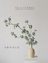 Emulated flower single valve wild Rosaceae with light vines and light blue small flower natural wind photographic props