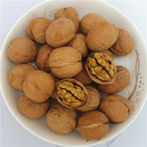 Original thin-skinned walnut squirrel grain 3kg