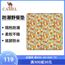 Camel outdoor picnic mat moisture-proof mat camping picnic thermal insulation waterproof mat tent wild grass mat mat