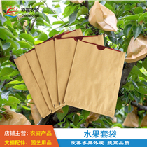 Fruit bagging Mango pear yellow peach Loquat special protection bag Fruit tree insect-proof bird-proof rain-proof paper bag