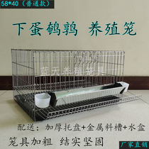 Home Quail Cage Large Double Cage Position Out Egg Quail Breeding Cage Pick Up Egg Convenience
