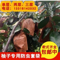 Bag Pomace Exclusive Bagging Red Meat Grapefruit Triple Red Honey Pomelo Sunscreen Horse Home Pomace 30 Single Double Three-layers 32 Increase