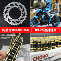 Suitable for new sense XGJ250-6C RS25 250-6 Warwolf teeth plate sprocket and silent oil seal chain
