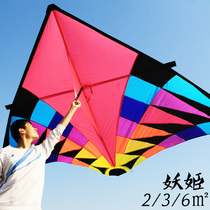 Giant kite 6 flat double bar large triangle kite demon Ji kite 2 flat 3 flat Weifang competition long tail 6