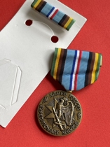 US public hair USGI FORCES EXPEDITIONARY MEDALS OF THE ARMED FORCES OF THE EXPEDITION