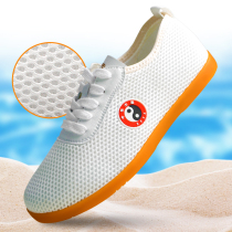 Summer Tai Chi shoes breathable mesh Taijiquan practice shoes women mens summer morning exercise Tai Chi sports cloth shoes beef tendons