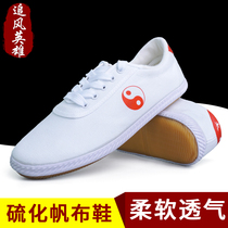 Chasing the wind hero Taiji shoes womens canvas shoes Taijiquan practice Shoes summer Tai Chi sports shoes mens spring and autumn martial arts shoes