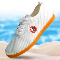 Taiji shoes female summer mesh breathable ox tendon Tai Chi practice shoes men Taijiquan shoes sports shoes martial arts practice shoes