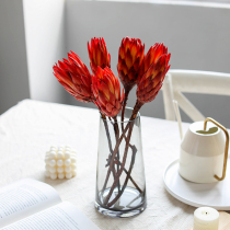 Nordic natural snow lotus dried flower South Africa imported flower red American light luxury living room decoration eternal flower princess flower