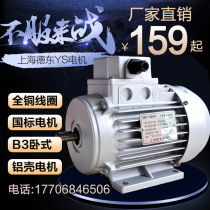Shanghai Dedong Electric YS120W aluminum shell motor Small power motor Micro motor Micro motor 380V