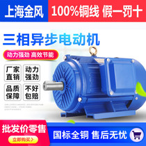 YE2 Three-phase asynchronous motor 380V copper wire horizontal vertical 0 75 1 1 1 5 2 2 3 4KW National standard
