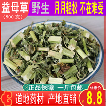 Chinese herbal medicine wild special motherwort motherwort tea natural woman nourishing health 500g powder