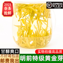 Anji Golden Bud Tea 2021 New Tea Green Tea Anji White Tea Mingqian Super Gold Bud Tea 250g Bulk