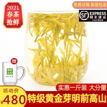 Spot Gold bud tea Premium 2021 new tea Mingqian Anji White Tea Gift Box 500g Bulk gold tea white tea