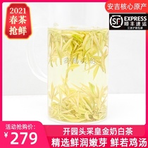 2021 New Tea Milk white Tea Golden Bud Garden premium alpine Anji White Tea Milk white gold tea 50g canned