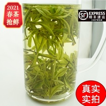 Anji white tea 2021 new tea Mingqian premium spring tea Green Tea special first-class authentic 125g bulk canned