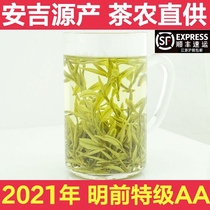 Tianyun Anji white tea 2021 new tea premium green tea authentic White Tea Tea Tea Super 250g bulk Bulk