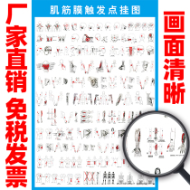 Myofascial pain trigger point wall chart human muscle anatomical structure diagram large hanging diagram whole body wall sticker decorative painting