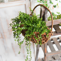 Wall hanging flower pot flower basket wall rattan weaving wall hanging flower basket wall hanging hanging hanging basket straw weaving rattan flower pot