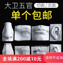 Single facial features solid plaster geometry teaching aids art sketches sketches eyes ears skulls