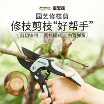 Germany MESD pruning shears pruning shears strong garden pruning shears branches fruit trees gardening shears