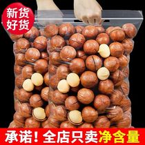Good shop nuts Hawaiian fruit 500g bulk creamy plain dried nuts summer fruit snacks for pregnant women snacks