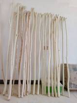 Clothes drying fork camellia solid wood stick to take the sun support one household balcony clothing store shop hanging ornaments