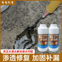 Concrete Crack Repair Agent Cement Injection Seam Adhesive Pavement Floor Floor Repair Crack Repair