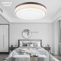 Aup Lighting Pleasing the Ceiling Lights of the Delight