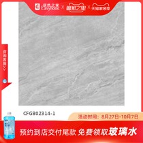 Dongpeng CFG802314 tile (800*800)