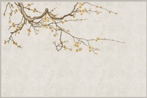 The night together mx