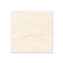 Nobel whole body All-ceramic marble tiles Simple Modern Ivory gold NE80202K