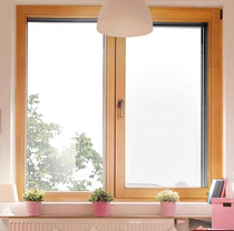 Mori Eagle S101 aluminum clad wood inner window