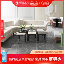 Beautiful LD ceramic No. 5 stone Frank ash 600 * 1200LSH12630AS