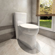 Huida HDC6115 Siamese Toilet