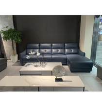 Dermal electric sofa