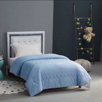 (6 15 live TV exclusive share) Muth home textile mullet washed silk quilt QZZ8-010