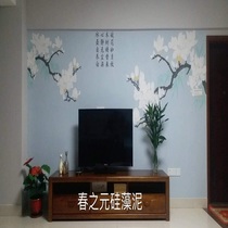 Unexpectedly the home chun zhi yuan background wall diatom mud