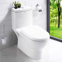 Wrigley bathroom straight flush toilet AD1003