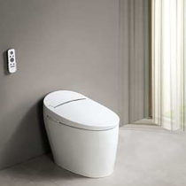 Jiumu intelligent toilet 12 30 live broadcast exclusive home