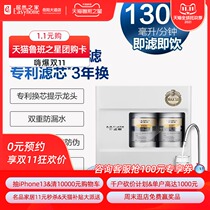 A.O.Smith Smith R450XC1 reverse osmosis water purifier to prevent heavy metal contamination