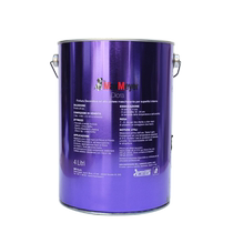 Weiro Art paint lime-based environmentally friendly waterproof and moisture-proof latex paint imported paint Italy