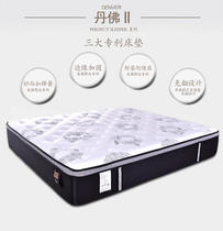 Serta Shuda Denver II Generation Latex Spring Mat
