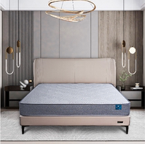 AIRLAND YARAN DREAMT Mattress Care Spine version Soft and hard to meet all your needs